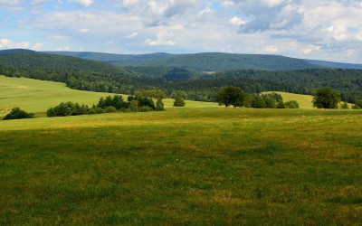 Nowy Sącz