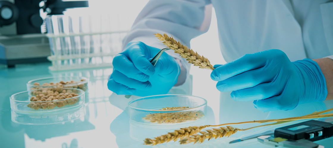 Wydział Nauk o Żywności i Biotechnologii w Lublinie
