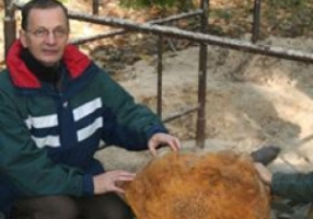 Naukowcy UAM znaleźli największy meteoryt