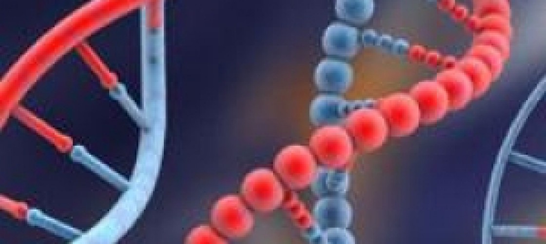 Uniwersytet Łódzki tworzy pracownię genetyczną i bank DNA