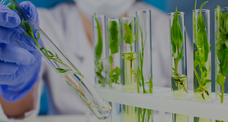 Bioinżynieria w Lublinie