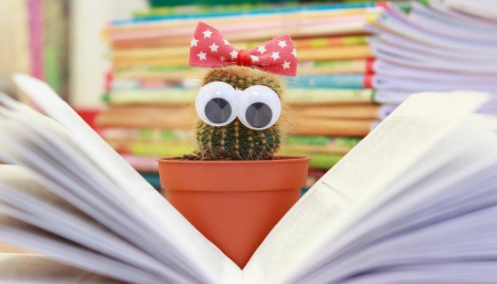 Studia podyplomowe w Koszalinie