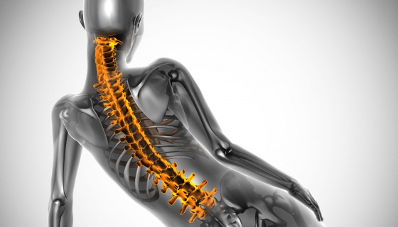 Fizjoterapia we Wrocławiu