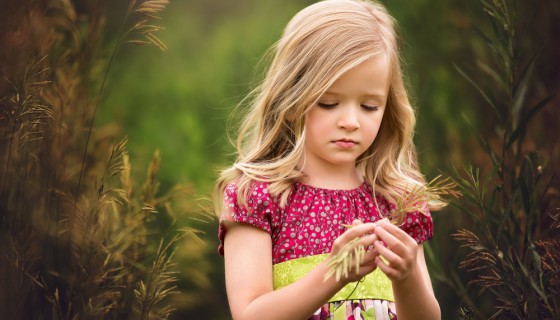 Pedagogika w Kielcach