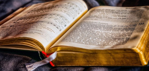 W jakim celu autor nawiązuje w swoim tekście do innego tekstu? – pytania jawne na maturę