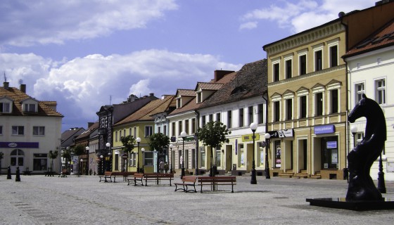 Studia w Koninie – kierunki, specjalności, rekrutacja