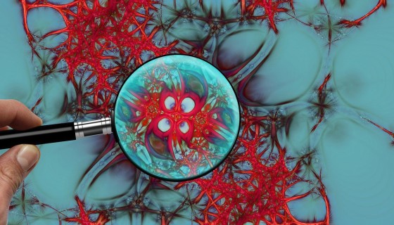 Neurobiologia w Katowicach