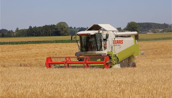 Rolnictwo w Białymstoku
