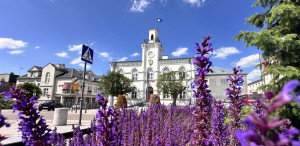 Studia w Ciechanowie – kierunki, specjalności, rekrutacja