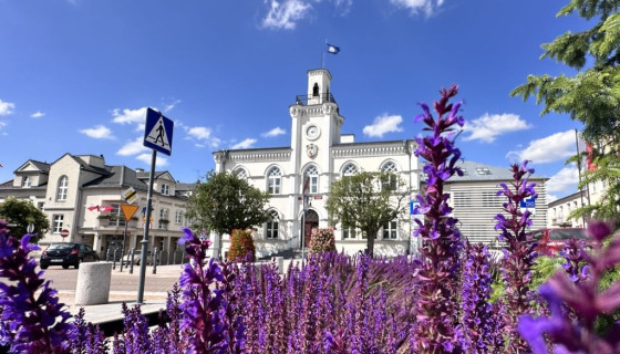 Studia w Ciechanowie – kierunki, specjalności, rekrutacja