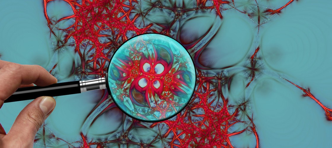 Pierwsze w Polsce studia podyplomowe dla neuromenadżerów