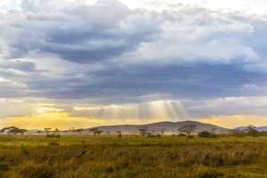 Studenci UAM na praktykach w Tanzanii