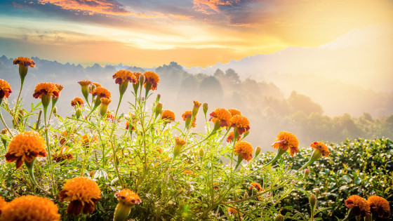 Studia rolnicze i przyrodnicze w Białymstoku i woj. podlaskim