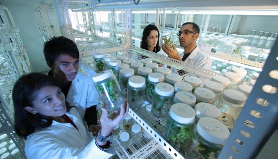 Biotechnologia we Wrocławiu