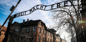 Proszę państwa do gazu – opracowanie lektury