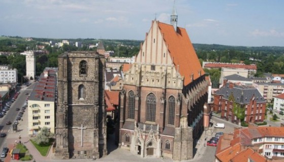 Studia w Nysie – kierunki, specjalności, zasady rekrutacji