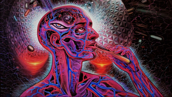 Studia matematyczne na Śląsku, w Katowicach, Gliwicach i Częstochowie