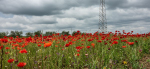 Sen o Polsce czy sąd nad Polską – pytania jawne na maturę