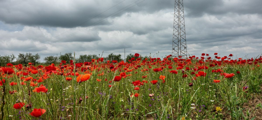 Sen o Polsce czy sąd nad Polską – pytania jawne na maturę