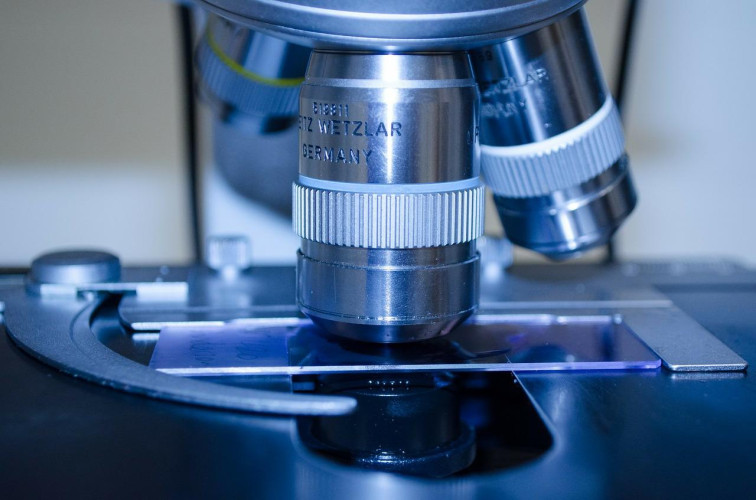 Biotechnologia medyczna – co zdawać na maturze, żeby dostać się na studia?