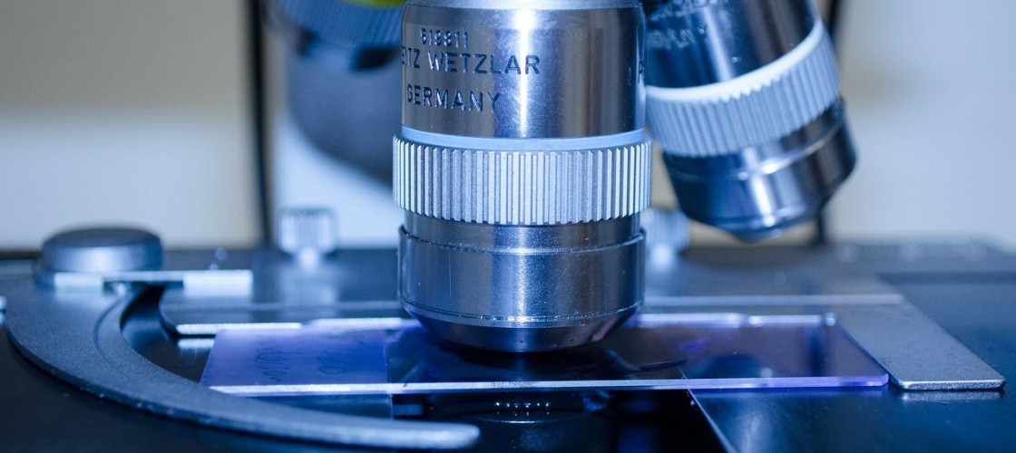 Biotechnologia medyczna - jakie przedmioty zdawać na maturze