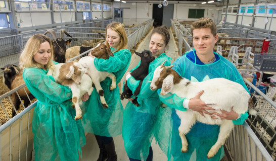 Zootechnika w Olsztynie