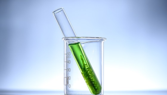 Biotechnologia w Rzeszowie