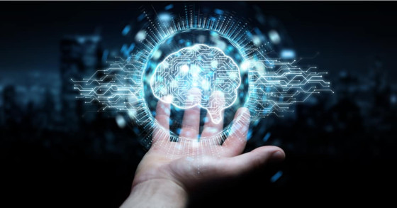 Inżynieria biomedyczna w Katowicach