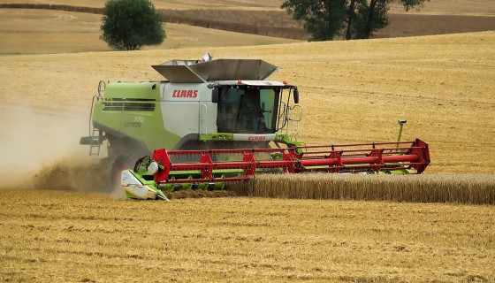 Rolnictwo w Rzeszowie