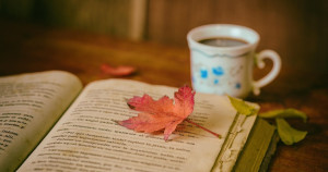 Matura 2026 - matura podstawowa język polski