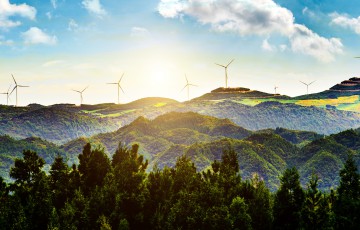 Green Accademy - studia podyplomowe o ekologii i zrównoważonym rozwoju