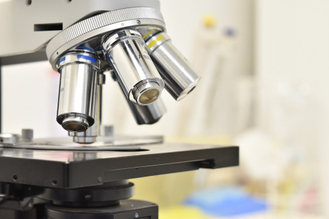 Nanotechnologia w Gdańsku