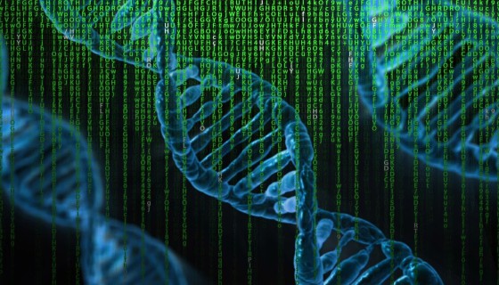 Bioinformatyka we Wrocławiu