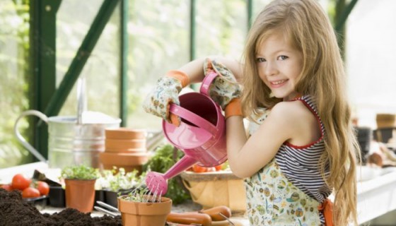 Pedagogika w Bydgoszczy