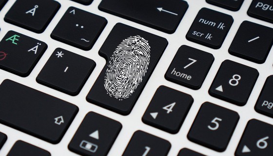 Bezpieczeństwo w Rzeszowie