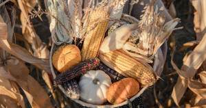 Obyczaj i tradycja w życiu społeczeństwa – pytania jawne