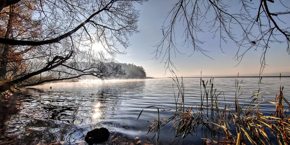 Ochrona środowiska w Szczecinie