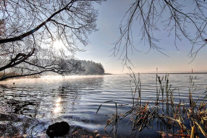 Ochrona środowiska w Szczecinie