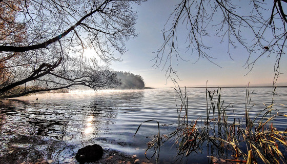 Ochrona środowiska w Szczecinie