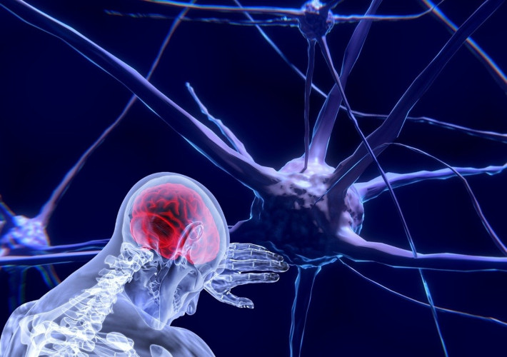 Neurobiologia w Poznaniu