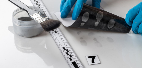 Kryminologia w Szczecinie