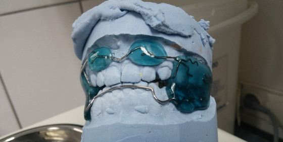 Kierunek lekarsko-dentystyczny w Katowicach