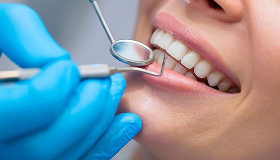 Kierunek lekarski i stomatologia we Wrocławiu