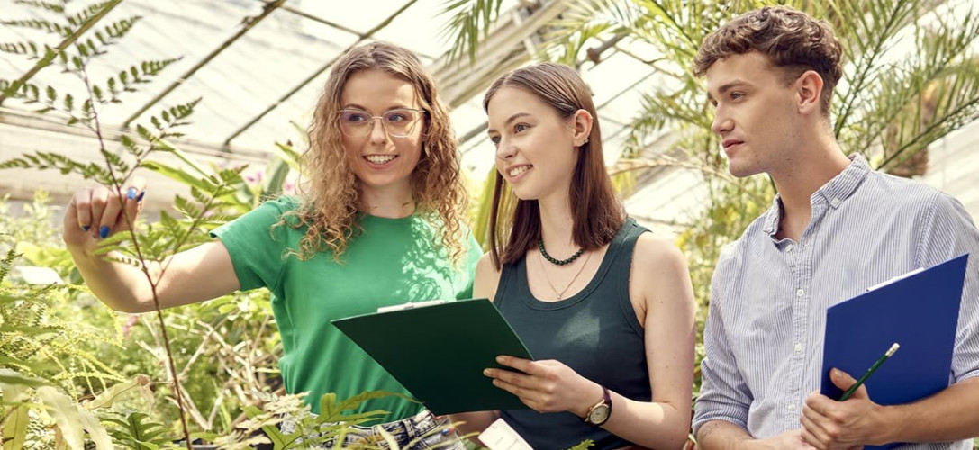 Uniwersytet Przyrodniczy w Poznaniu - zasady rekrutacji