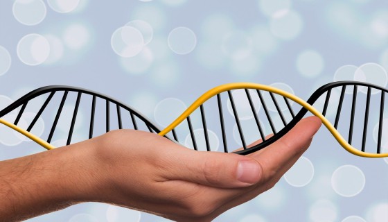 Bioinformatyka w Krakowie