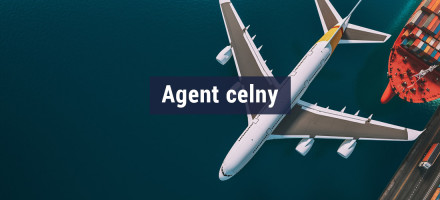 Agent celny