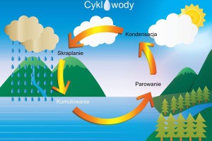 Hydrolog