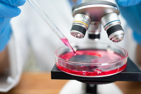 Zawód Biochemik – zdjęcie ilustracyjne