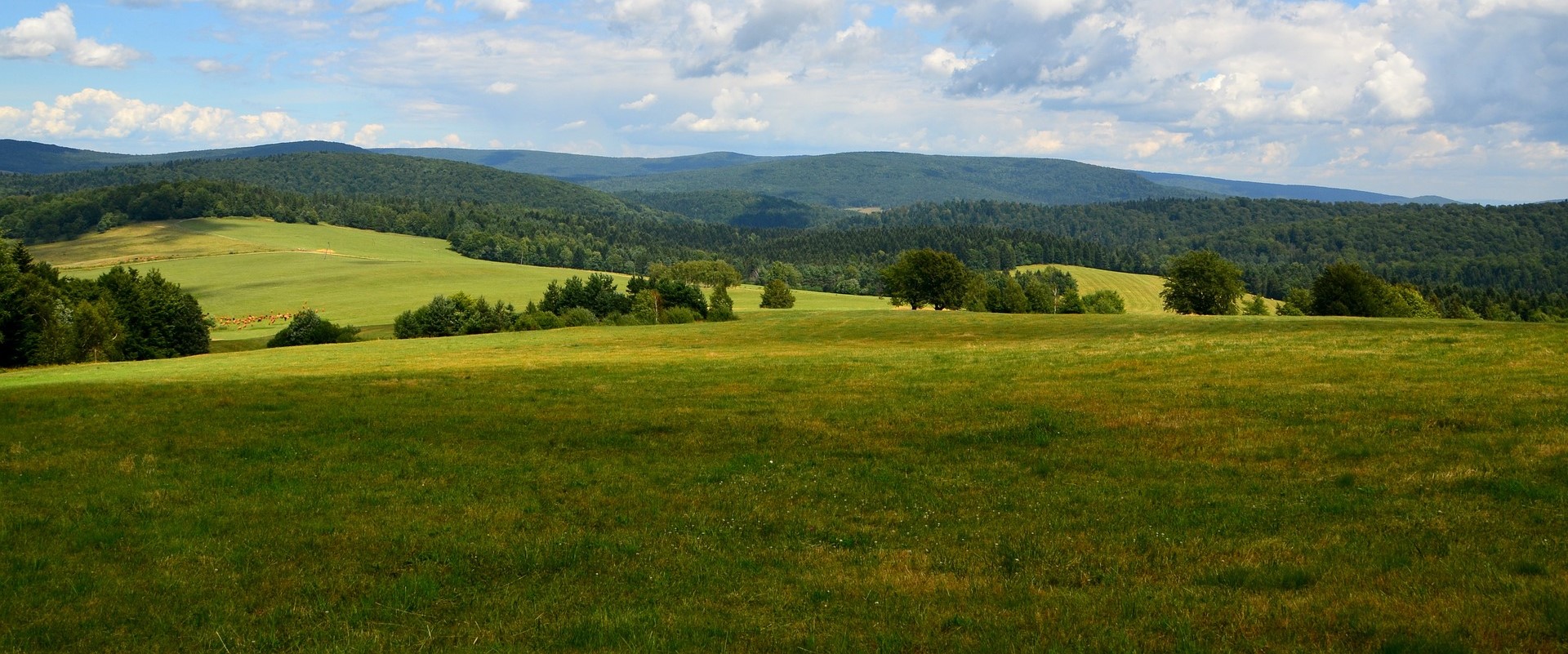 Nowy Sącz