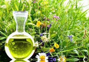 Uniwersytet Przyrodniczy w Lublinie (UP) - kierunek zielarstwo i terapie roślinne